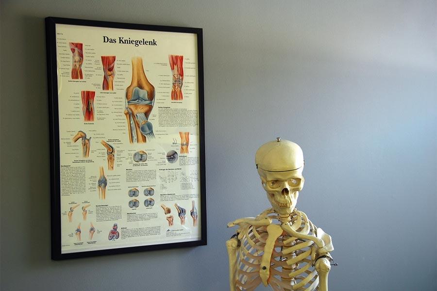 kniegelenk-physiotherapeut